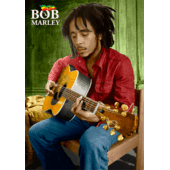 bob marley GIF