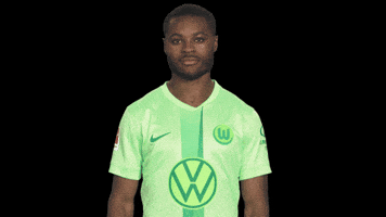 Happy Germany GIF by VfL Wolfsburg