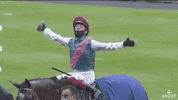 Best Friend Love GIF by Ascot Racecourse