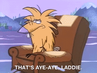 nickrewind nicksplat angry beavers GIF