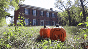 Shed Headless Horseman GIF by Conner Prairie