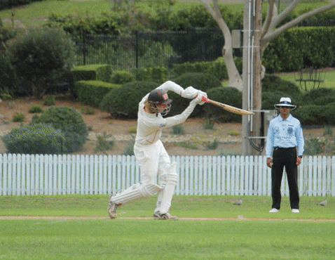 UTS_NSDCC giphygifmaker GIF