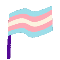 Trans Day Of Visibility Pride Sticker by Amazon Photos