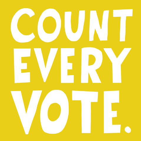 Voting Election Results GIF by INTO ACTION