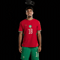 Fifa World Cup Morocco GIF by Respective