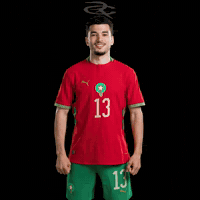 Fifa World Cup Morocco GIF by Respective