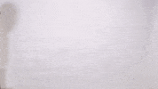 Navy Wtennis GIF by Navy Athletics