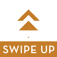 paradiseonbloor swipe up paradiseonbloor Sticker