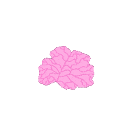 Head Think Sticker