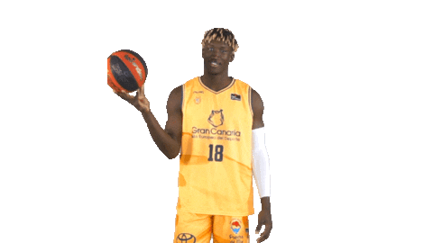 Liga Endesa Basketball Sticker by ACB