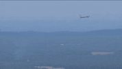 Nascar Racing Sport GIF by NASCAR