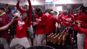 Celebrate National League GIF by MLB
