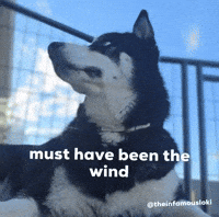 Must Have Been The Wind GIF by Loki