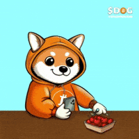 Dog Play GIF by $DOG