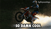 awesome like a boss GIF by Red Bull