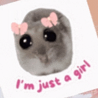 Hamster Im Just A Girl GIF