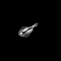 GIF by eranhill
