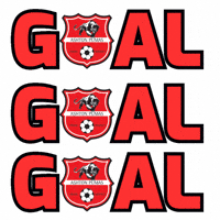 Womens Football GIF by Ashton Pumas Womens