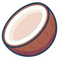 Fruit Coconut Sticker by flaschenpost.de