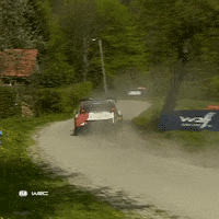 Fail Ford GIF by FIA World Rally Championship