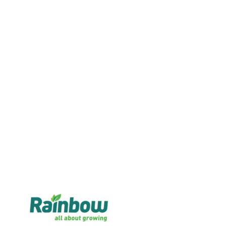 Rainbow Soja Sticker by rainbowagrobrasil