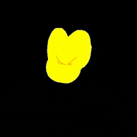crab_illustrationdesign love kiss rainbow amor GIF
