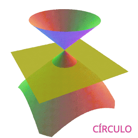 virginiasilence giphyupload einstein teoria de la relatividad marujer GIF