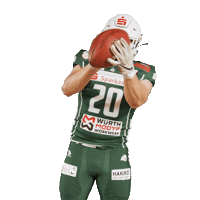 Rannfl Itsallabouttheu Sticker by Schwäbisch Hall Unicorns