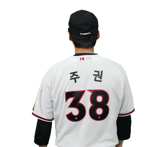 ktwizbaseballclub giphyupload baseball kt kbo Sticker