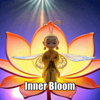 GIF by BuddhaFlyJourney