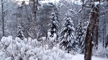 North-Central Vermont Blanketed After Heavy Snowfall