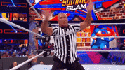 wwe sports wwe wrestling freak out GIF