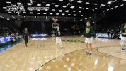 north dakota state basketball GIF by NDSU Athletics