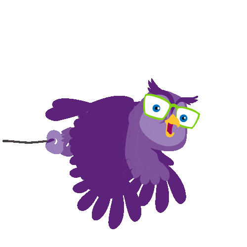 yoast-seo giphyupload owl yoast yoasie Sticker
