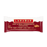 Snack Bar Cinnamon Sticker by larabar
