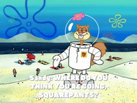 season 6 dear vikings GIF by SpongeBob SquarePants
