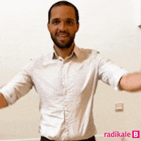 Christiansborg GIF by Radikale Venstre