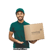 Ecommerce Logistica Sticker by Soulog