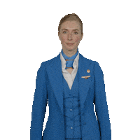 Cabin Crew Goodbye Sticker by KLM