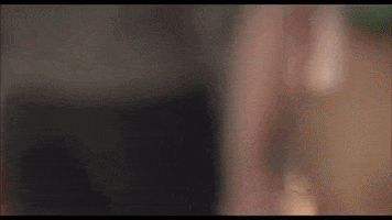 new york film festival nyff 2015 GIF by Film Society of Lincoln Center