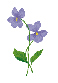 Flower Sticker