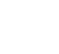 Bird Flying Sticker