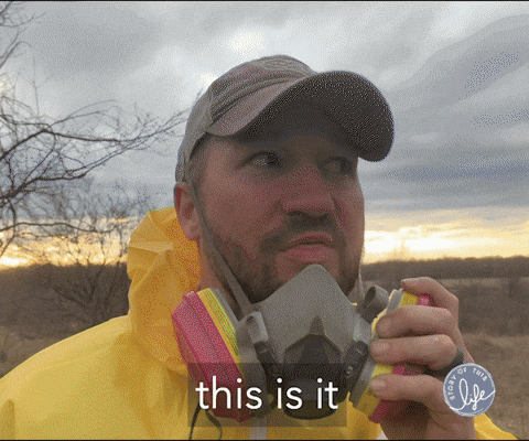 giphy.gif