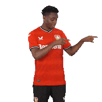 Its You Football Sticker by Bayer 04 Leverkusen