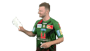 Handball-Bundesliga Handball Sticker by LIQUI MOLY HBL