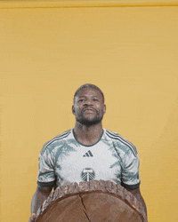 Mls Portland GIF by Timbers