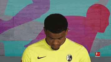 Scf GIF by Bundesliga