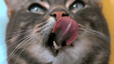 tongue GIF