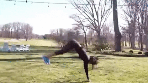 GIF by Miss USA