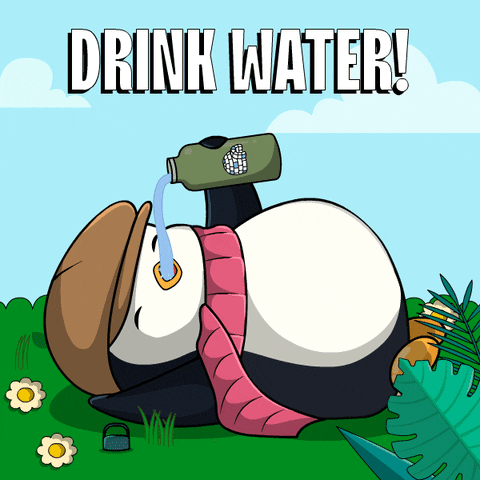 Stay Hydrated Drink Water GIF by Pudgy Penguins